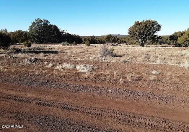 Homes for sale in Concho, AZ | 4 County Rd 8058 --, Concho, AZ 85924 | MLS# 7037108