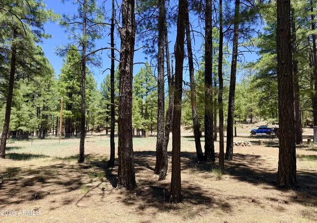 15th image of 2378 Blue Ridge Dr #479, Happy Jack, AZ 86024 | MLS# 7036522