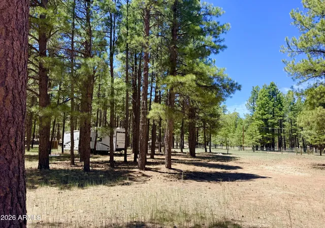 1st image of 2378 Blue Ridge Dr #479, Happy Jack, AZ 86024 | MLS# 7036522