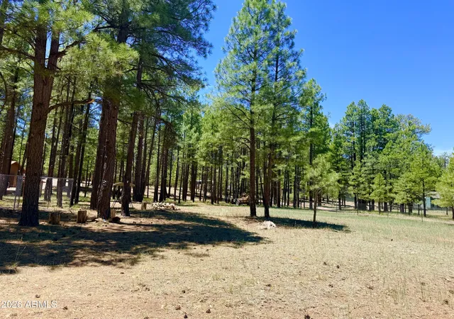 2nd image of 2378 Blue Ridge Dr #479, Happy Jack, AZ 86024 | MLS# 7036522