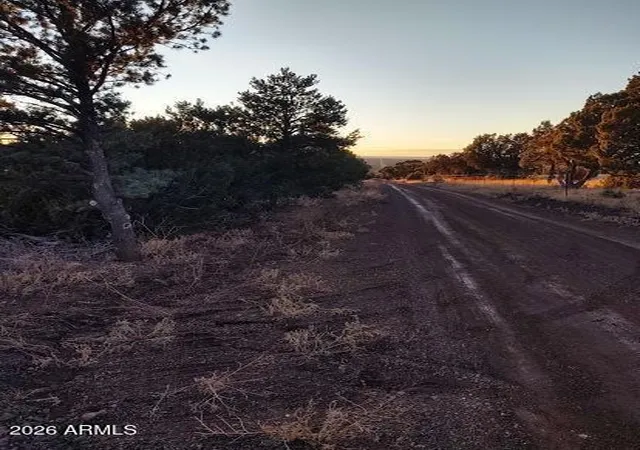 Photo 4 of Land for sale at 33 County Rd N3319, Concho, AZ 85924 | MLS# 7037117 | Listing updated on 2026-09-29