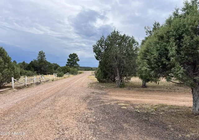 Homes for sale in Pinedale, AZ | 5326 April Pl, Pinedale, AZ 85934 | MLS# 7050850