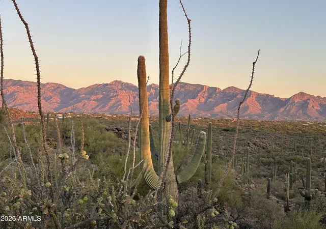 Homes for sale in Marana, AZ | 13672 N Old Ranch House Rd #1, Marana, AZ 85658 | MLS# 7038952
