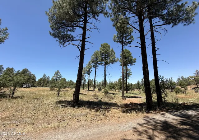 2nd image of 854 E Pine Meadow Ln, Show Low, AZ 85901 | MLS# 7037470
