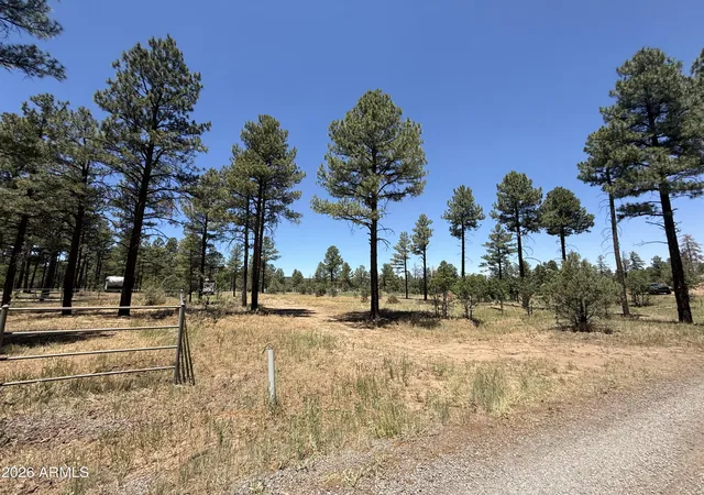 3rd image of 854 E Pine Meadow Ln, Show Low, AZ 85901 | MLS# 7037470