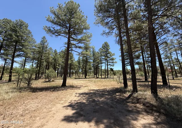 4th image of 854 E Pine Meadow Ln, Show Low, AZ 85901 | MLS# 7037470