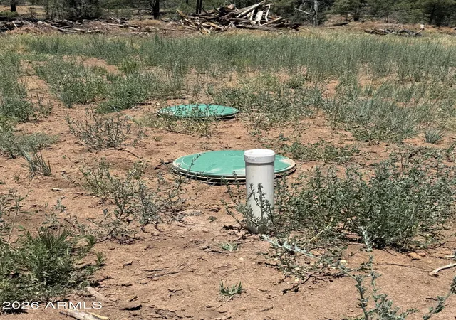5th image of 854 E Pine Meadow Ln, Show Low, AZ 85901 | MLS# 7037470