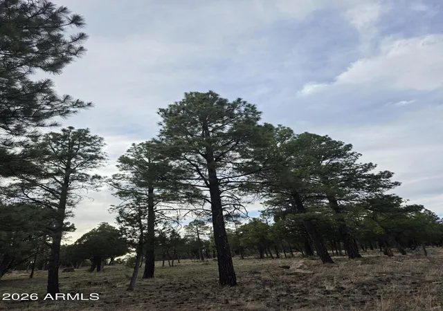 Homes for sale in Happy Jack, AZ | 2584 Arapaho Dr #600, Happy Jack, AZ 86024 | MLS# 7037637
