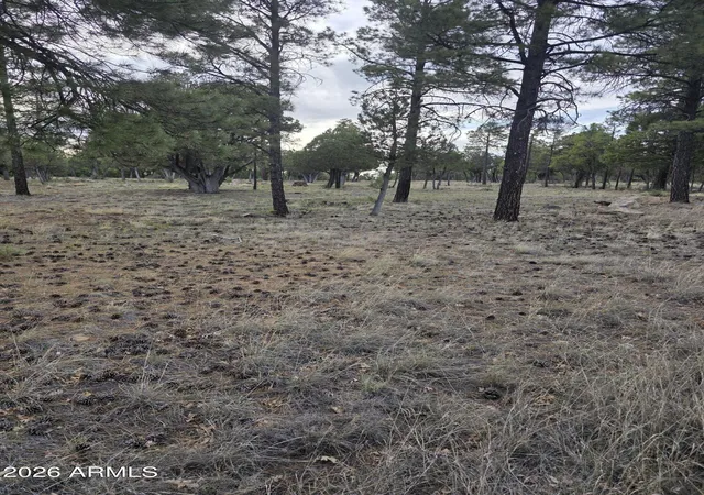 Homes for sale in Happy Jack, AZ | 2584 Arapaho Dr #600, Happy Jack, AZ 86024 | MLS# 7037637