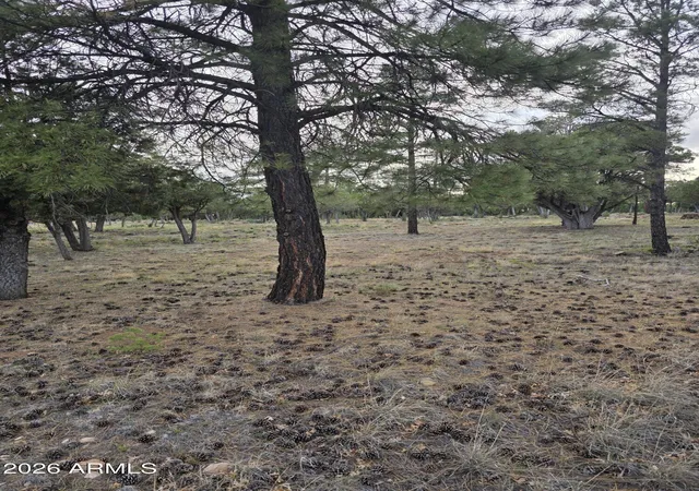 Homes for sale in Happy Jack, AZ | 2584 Arapaho Dr #600, Happy Jack, AZ 86024 | MLS# 7037637