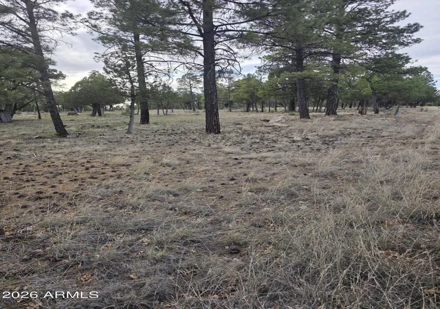 Homes for sale in Happy Jack, AZ | 2584 Arapaho Dr #600, Happy Jack, AZ 86024 | MLS# 7037637
