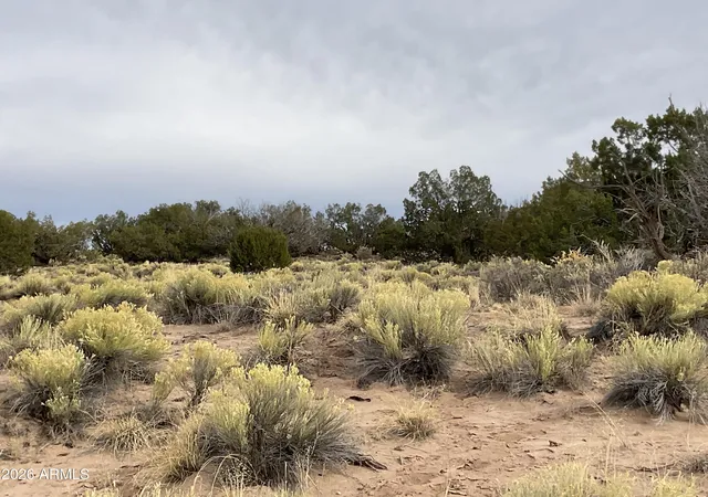 3rd image of 937/934 Woodland Valley Ranches -- #937 &n 934, St Johns, AZ 85936 | MLS# 7037724
