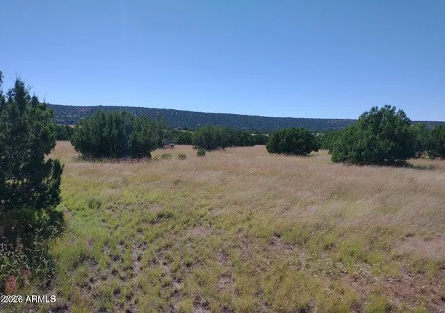 Homes for sale in Concho, AZ | 71 Acr 8001 #632, Concho, AZ 85924 | MLS# 7039029