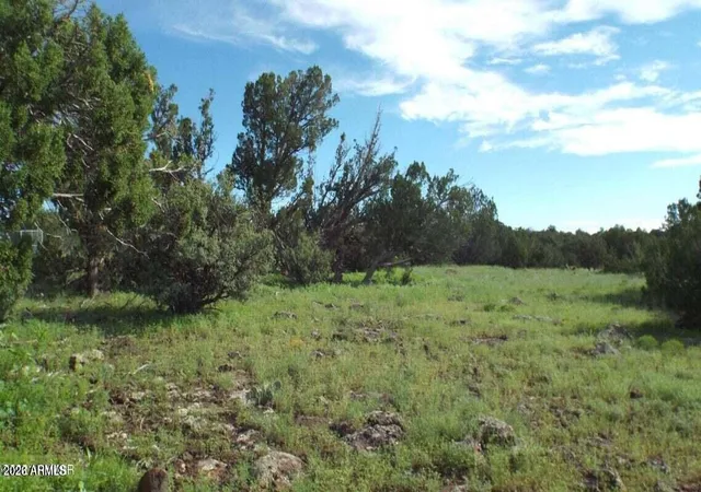 Homes for sale in Concho, AZ | 71 Acr 8001 -- #632, Concho, AZ 85924 | MLS# 7039029
