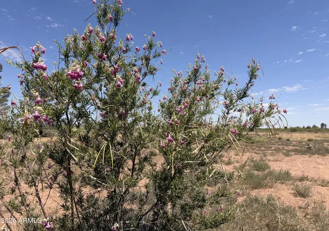 Homes for sale in Mc Neal, AZ | 9153 N Central Hwy, Mc Neal, AZ 85617 | MLS# 7039510