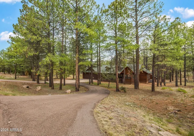 Photo 2 of Single family home for sale at 2917 Lodgepole Rd, Overgaard, AZ 85933 | MLS# 7038636 | Listing updated on 2026-08-11