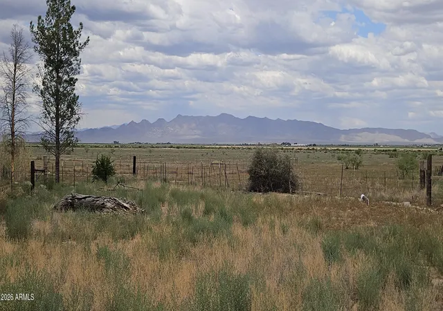 Homes for sale in Mc Neal, AZ | 52 Acres W Davis Rd, Mc Neal, AZ 85617 | MLS# 7042037
