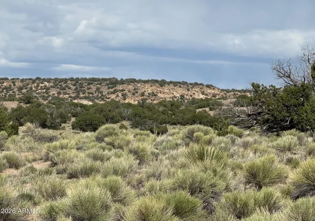Photo 3 of Land for sale at N6581 North #765, St Johns, AZ 85936 | MLS# 7038864 | Listing updated on 2026-06-08
