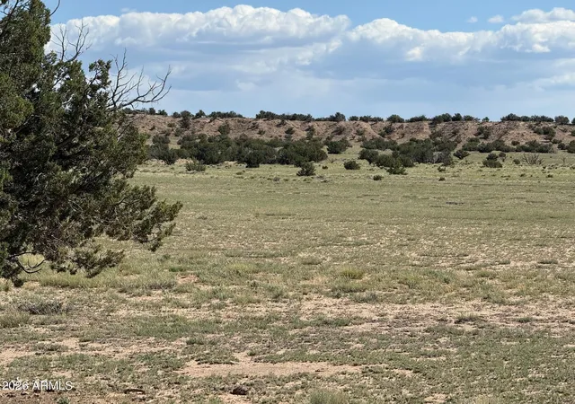 Photo 4 of Land for sale at N6581 North #765, St Johns, AZ 85936 | MLS# 7038864 | Listing updated on 2026-06-08