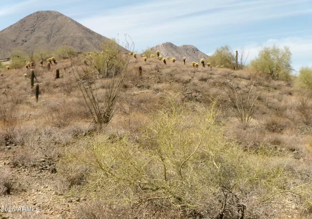 Photo 4 of Land for sale at 15736 N Mountain Pkwy #225, Fountain Hills, AZ 85268 | MLS# 7039371 | Listing updated on 2026-06-09