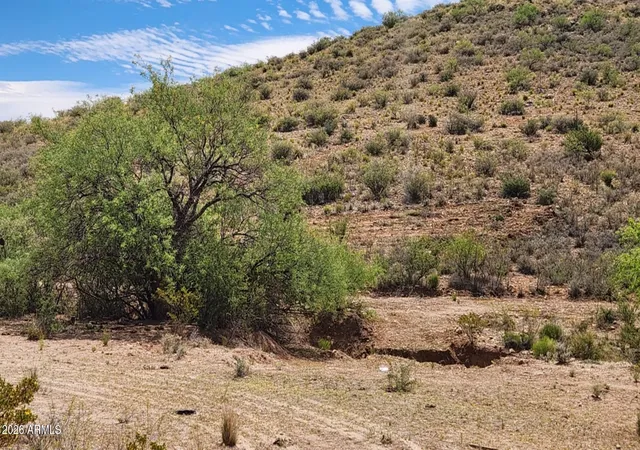 Homes for sale in Tombstone, AZ | Tbd N Middlemarch Rd #32, Tombstone, AZ 85638 | MLS# 7039710
