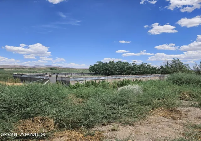 Homes for sale in Douglas, AZ | 111 E Gila Dr, Douglas, AZ 85607 | MLS# 7044293