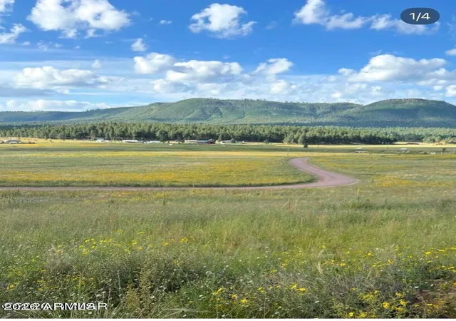 1st image of 27 County Road 2330 #32, Alpine, AZ 85920 | MLS# 7039284