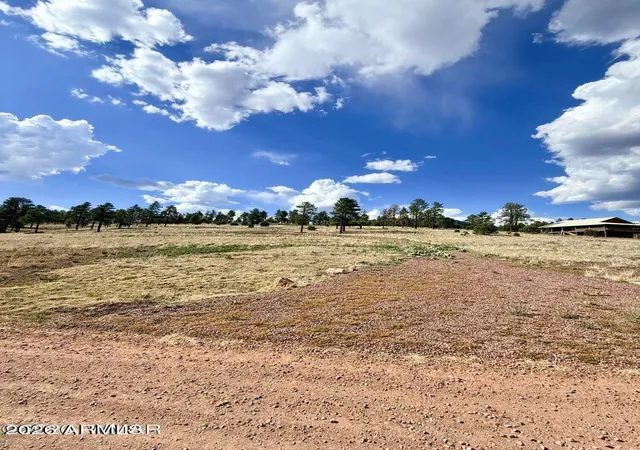 3rd image of 27 County Road 2330 -- #32, Alpine, AZ 85920 | MLS# 7039284