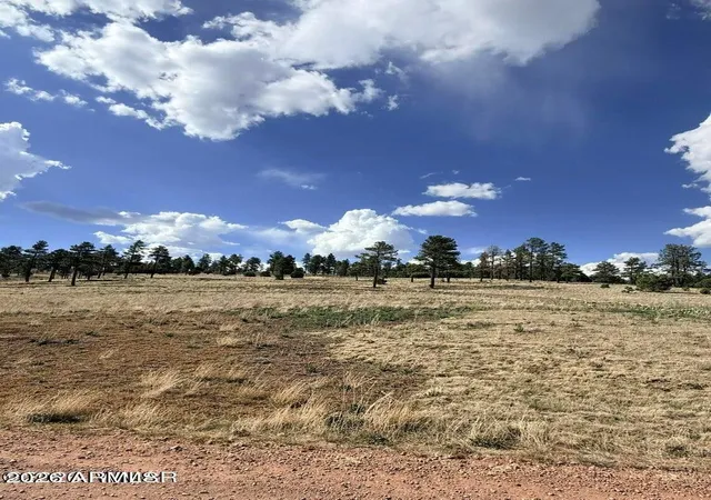 4th image of 27 County Road 2330 -- #32, Alpine, AZ 85920 | MLS# 7039284