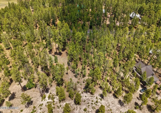 18th image of 98 County Road 2266 #n/a, Alpine, AZ 85920 | MLS# 7039455