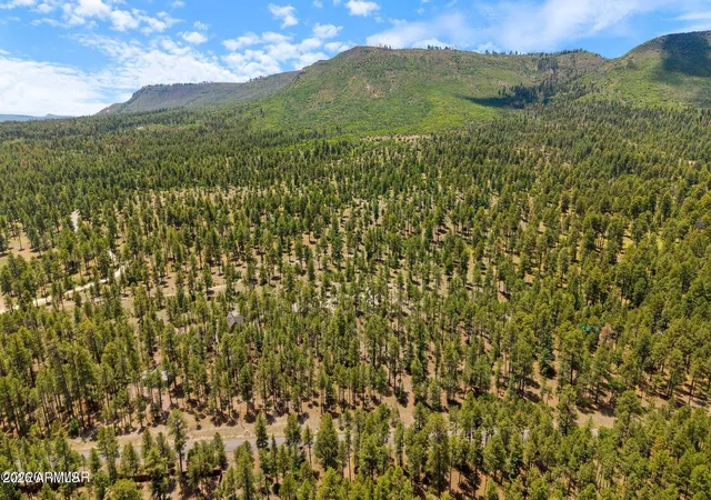 1st image of 98 County Road 2266 #n/a, Alpine, AZ 85920 | MLS# 7039455