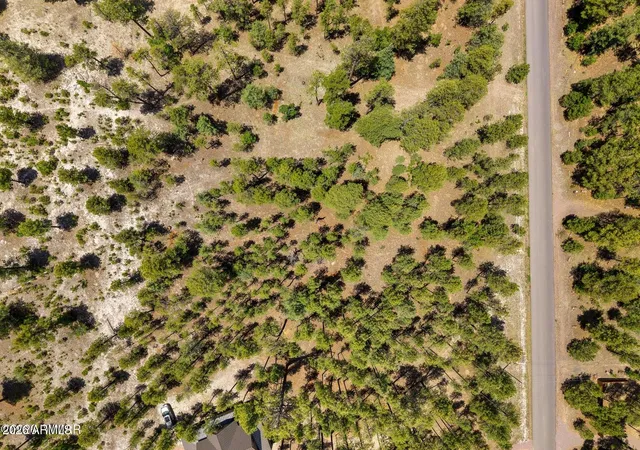 2nd image of 98 County Road 2266 #n/a, Alpine, AZ 85920 | MLS# 7039455