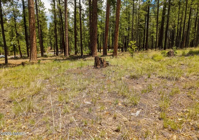 4th image of 98 County Road 2266 -- #n/a, Alpine, AZ 85920 | MLS# 7039455