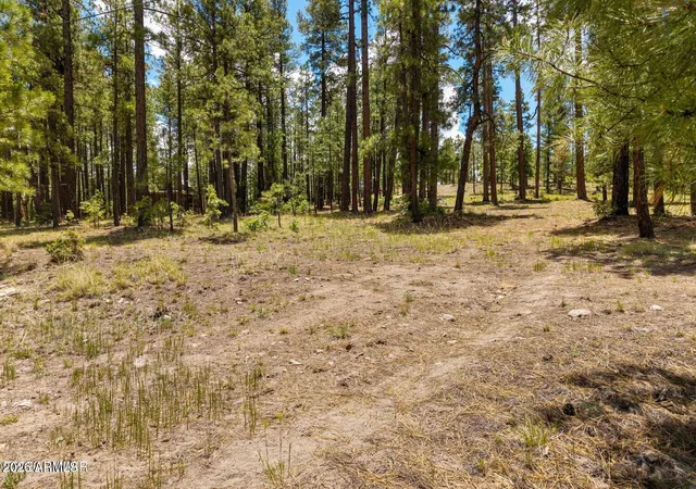 5th image of 98 County Road 2266 -- #n/a, Alpine, AZ 85920 | MLS# 7039455