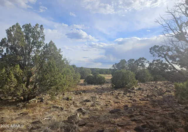 13th image of 2429 Bourdon Ranch Rd #F, Show Low, AZ 85901 | MLS# 7039476