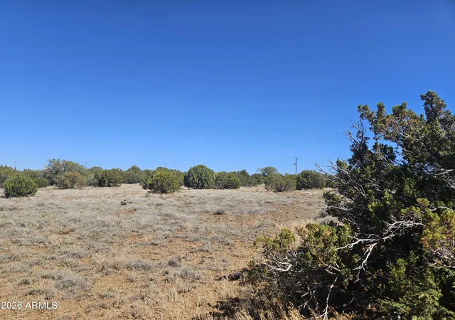 3rd image of 2429 Bourdon Ranch Rd #F, Show Low, AZ 85901 | MLS# 7039476