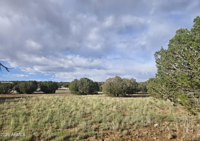 4th image of 2429 Bourdon Ranch Rd #F, Show Low, AZ 85901 | MLS# 7039476