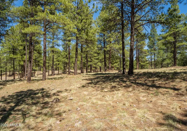 Photo 3 of Sale Pending at 3663 S Woodland Hills Dr #365, Flagstaff, AZ 86005 | MLS# 7040108 | Listing updated on 2026-09-01
