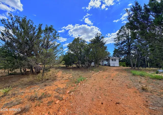 Homes for sale in Overgaard, AZ | 3405 Buckhorn Bend Rd, Overgaard, AZ 85933 | MLS# 7039974