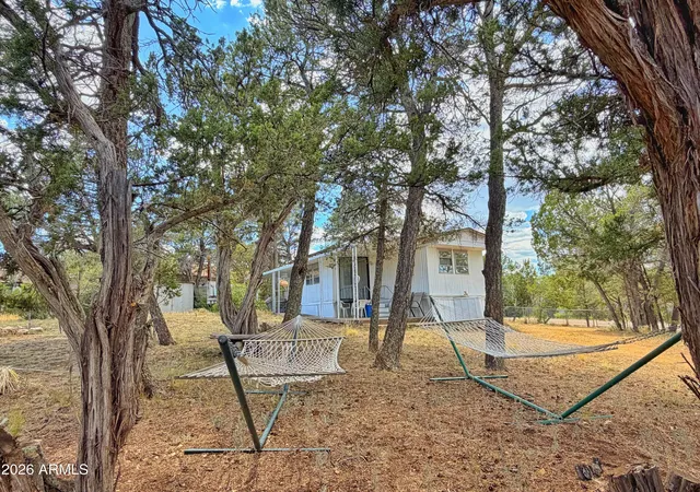 Homes for sale in Overgaard, AZ | 3405 Buckhorn Bend Rd, Overgaard, AZ 85933 | MLS# 7039974