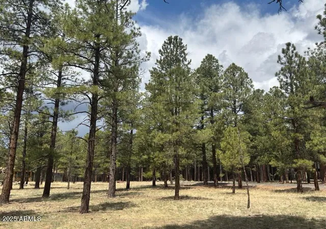 Photo 1 of Land for sale at Lot 1 Hattie Greene #1, Flagstaff, AZ 86001 | MLS# 7040073 | Listing updated on 2026-09-30