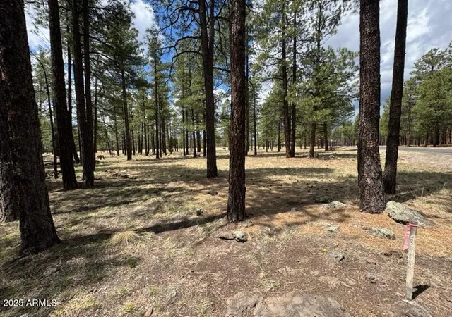 Photo 3 of Land for sale at Lot 1 Hattie Greene #1, Flagstaff, AZ 86001 | MLS# 7040073 | Listing updated on 2026-09-30
