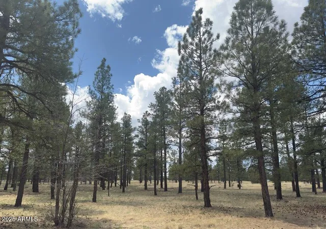 Photo 4 of Land for sale at Lot 1 Hattie Greene #1, Flagstaff, AZ 86001 | MLS# 7040073 | Listing updated on 2026-09-30