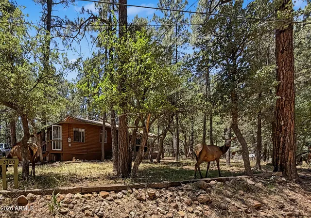 Homes for sale in Pine, AZ | 3780 N Hunt Dr, Pine, AZ 85544 | MLS# 7042943