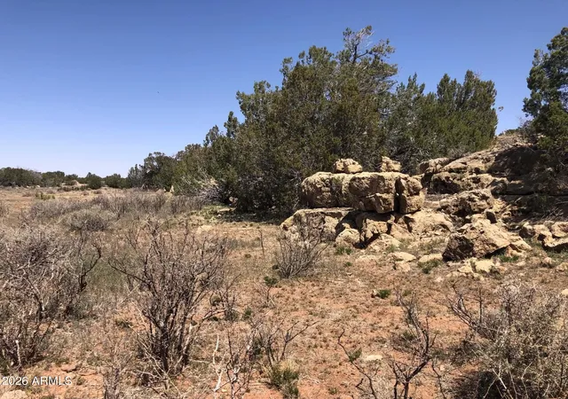 Homes for sale in Heber, AZ | 785 Twin Tanks Rd #'-', Heber, AZ 85928 | MLS# 7040458