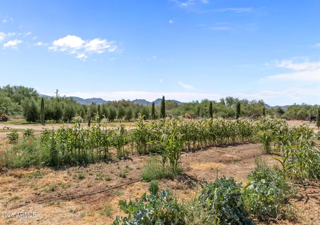 4th image of 35448 2Nd St, Wenden, AZ 85357 | MLS# 7040784