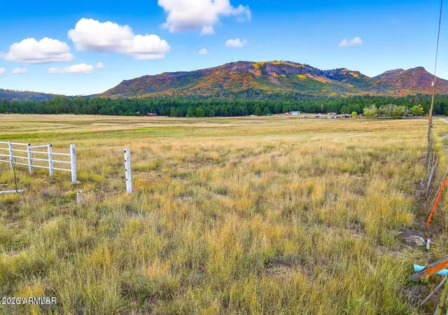 2nd image of Tbd Alpine Unsubdivided, Alpine, AZ 85920 | MLS# 7040724