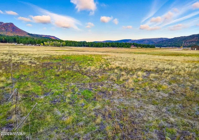 Photo 3 of Land for sale at Tbd Alpine Unsubdivided, Alpine, AZ 85920 | MLS# 7040724 | Listing updated on 2026-06-11