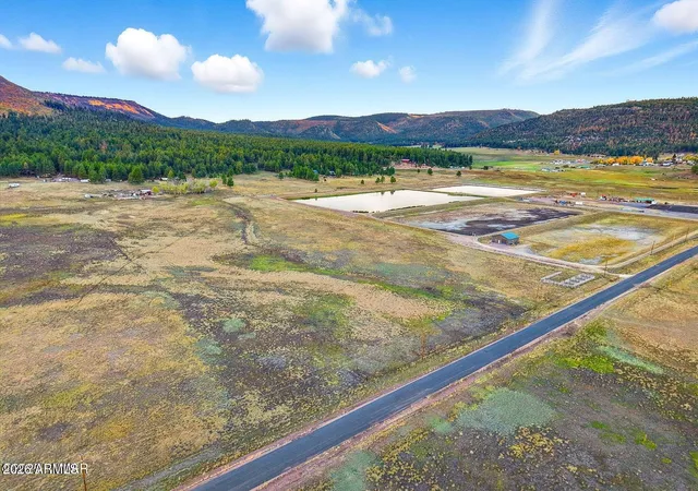 Photo 4 of Land for sale at Tbd Alpine Unsubdivided, Alpine, AZ 85920 | MLS# 7040724 | Listing updated on 2026-06-11