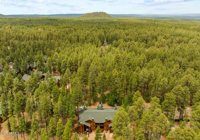 Homes for sale in Pinetop, AZ | 2773 Buck Crossing Wy, Pinetop, AZ 85935 | MLS# 7044799